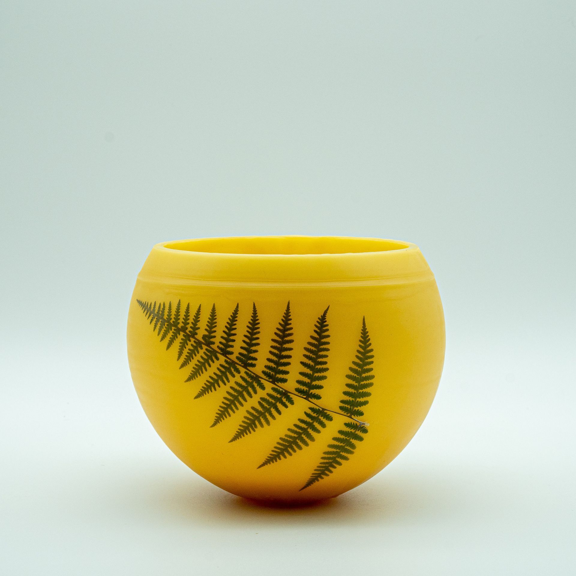 Fern L